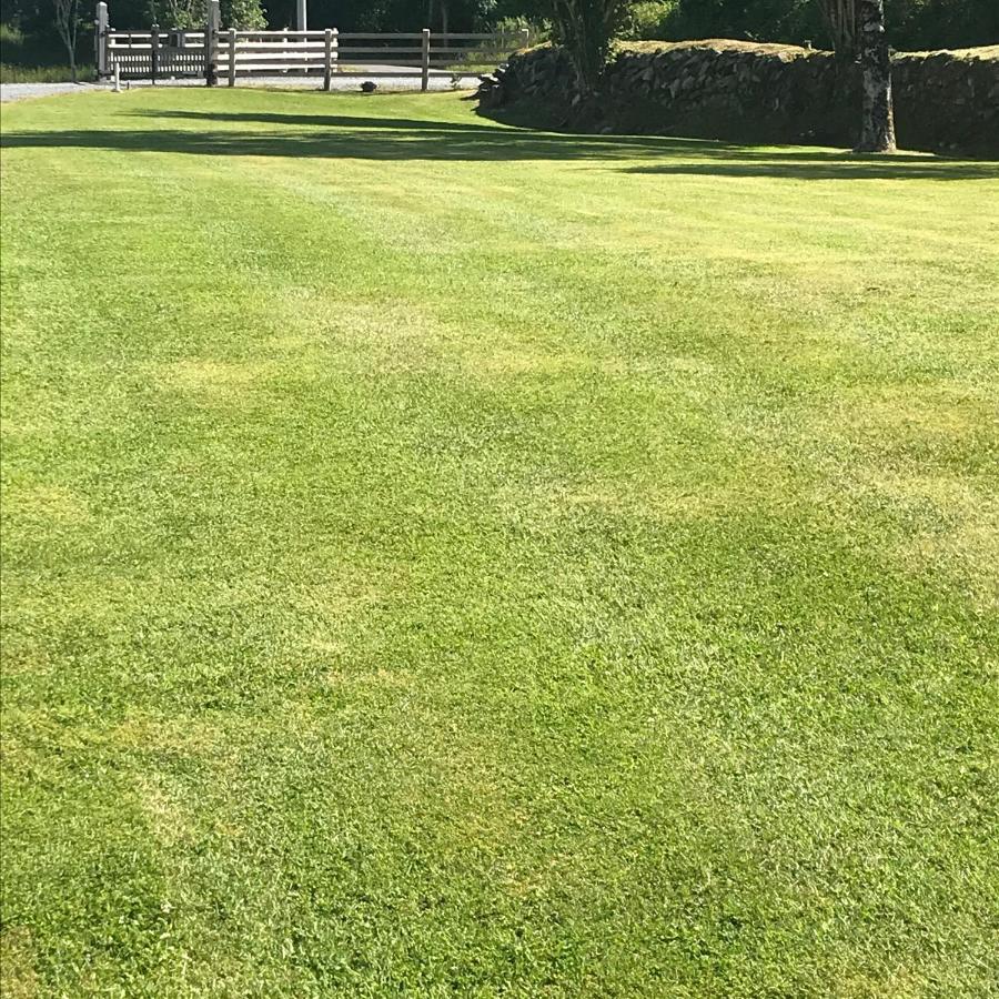 Lissyclearig Lodge Kenmare Bagian luar foto